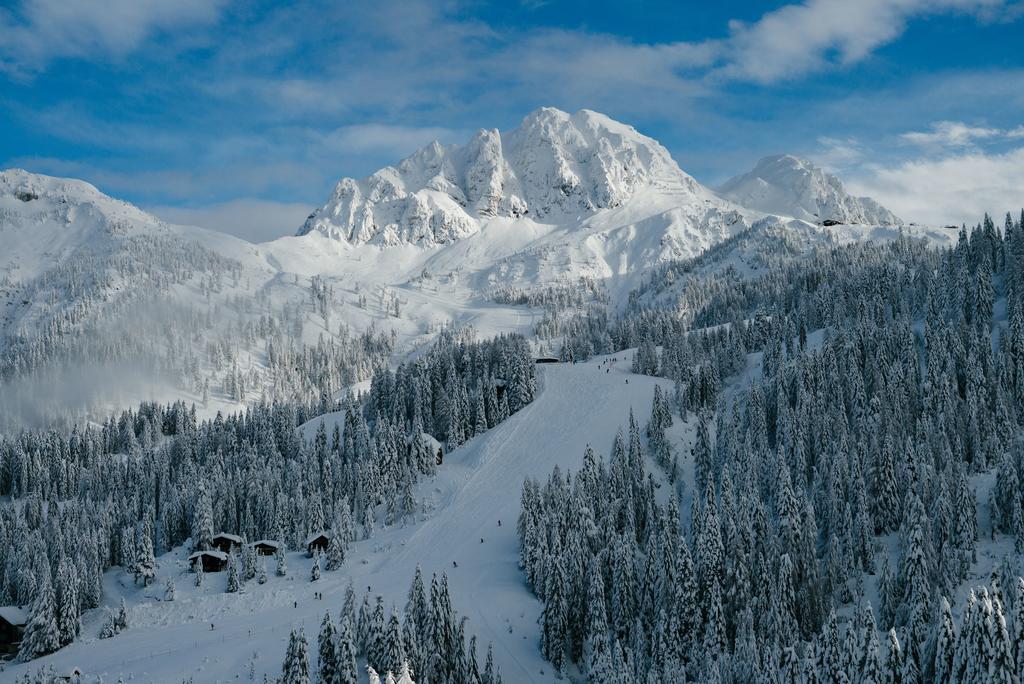 Апартаменты Alpenrose Nassfeld Зонненальпе-Насфельд Экстерьер фото